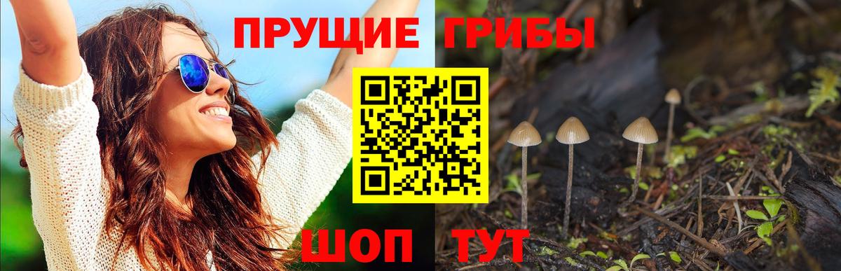 Гусиноозёрск  Псилоцибиновые грибы Magic Shrooms  Галлюциногенные грибы MAGIC MUSHROOMS  Вход с VPN 
